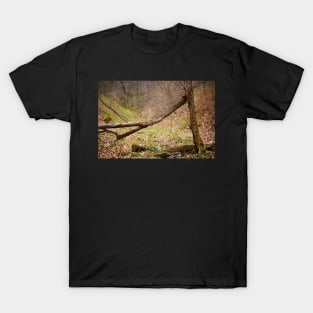 Fallen trees in a forest on springtime T-Shirt